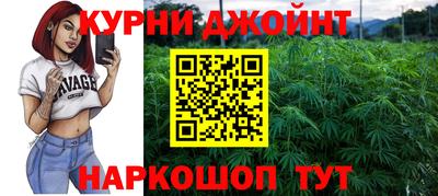 гашик Жуковский