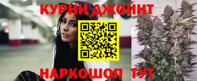 гашик Жуковский