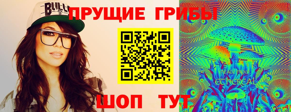 Галлюциногенные грибы Psilocybine cubensis Мытищи